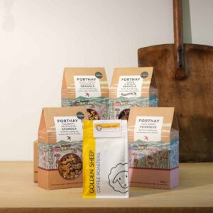Forthay Christmas Gift Box